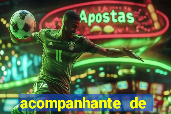 acompanhante de porto seguro