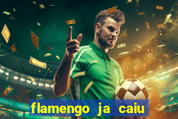 flamengo ja caiu para serie b