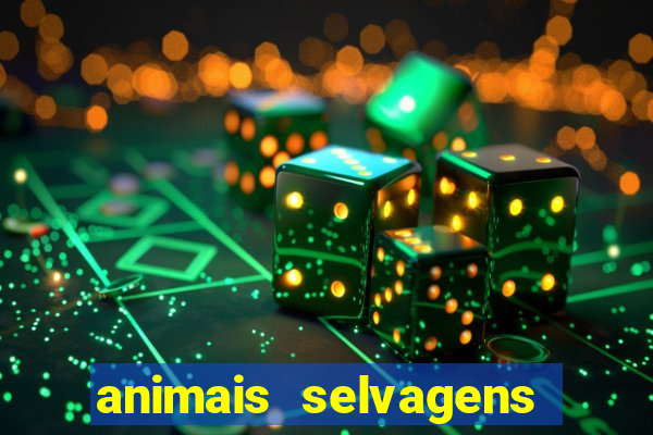 animais selvagens fotos e nomes