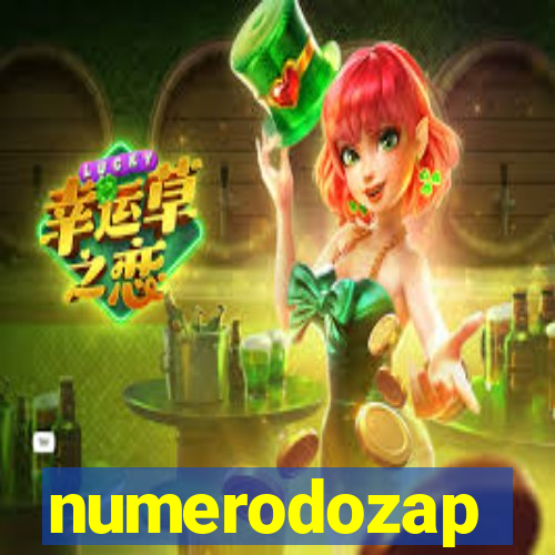 numerodozap