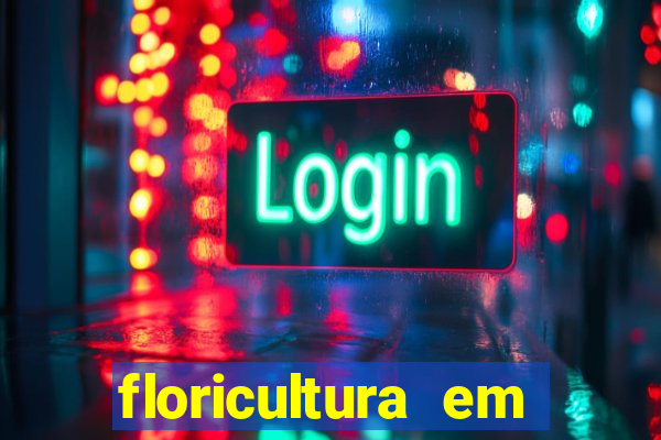 floricultura em franca sp
