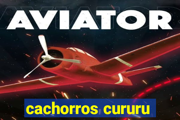 cachorros cururu