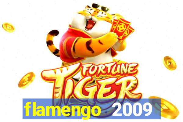 flamengo 2009 campeonato brasileiro
