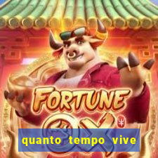 quanto tempo vive um passarinho bem-te-vi