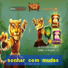 sonhar com mudas de plantas
