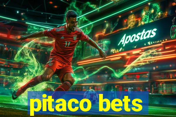 pitaco bets