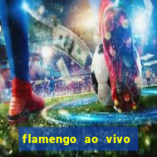 flamengo ao vivo multi tv
