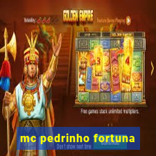 mc pedrinho fortuna