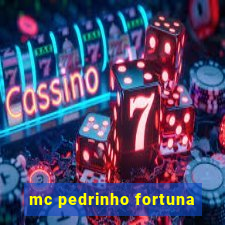 mc pedrinho fortuna