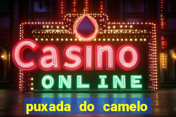 puxada do camelo jogo do bicho