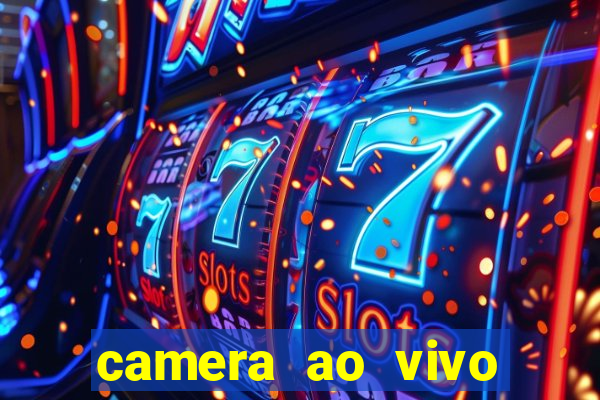 camera ao vivo porto rico