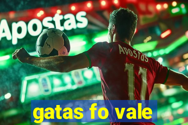 gatas fo vale