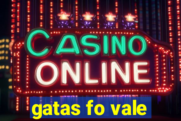 gatas fo vale