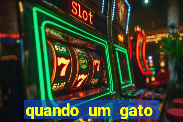 quando um gato aparece do nada significado espiritual
