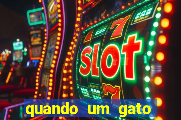 quando um gato aparece do nada significado espiritual