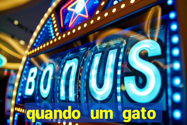 quando um gato aparece do nada significado espiritual