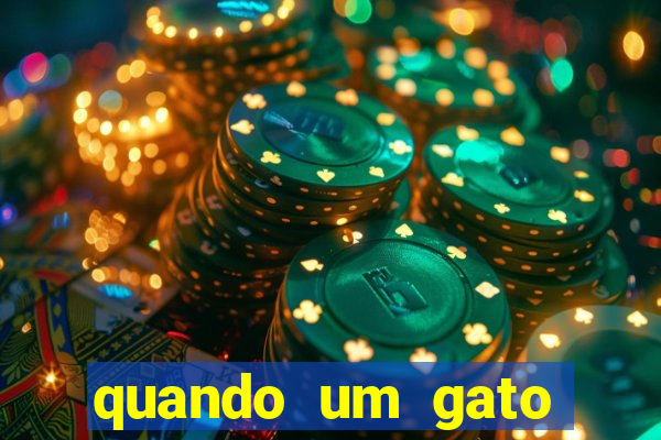quando um gato aparece do nada significado espiritual