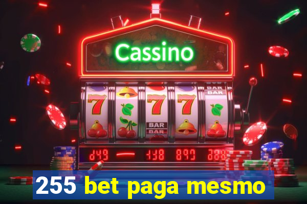 255 bet paga mesmo