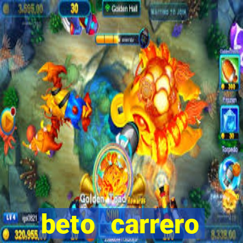 beto carrero cidades proximas