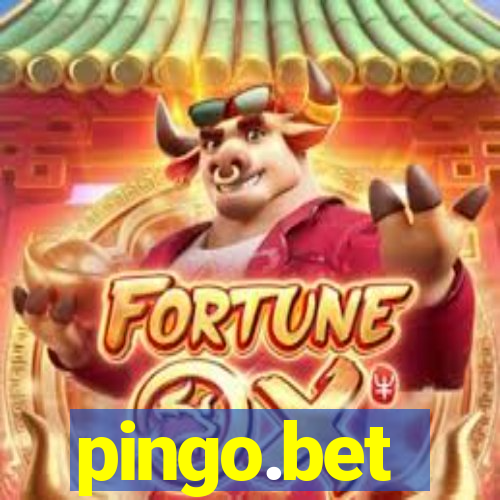 pingo.bet