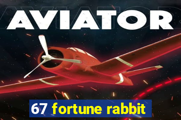 67 fortune rabbit