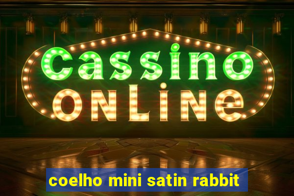 coelho mini satin rabbit