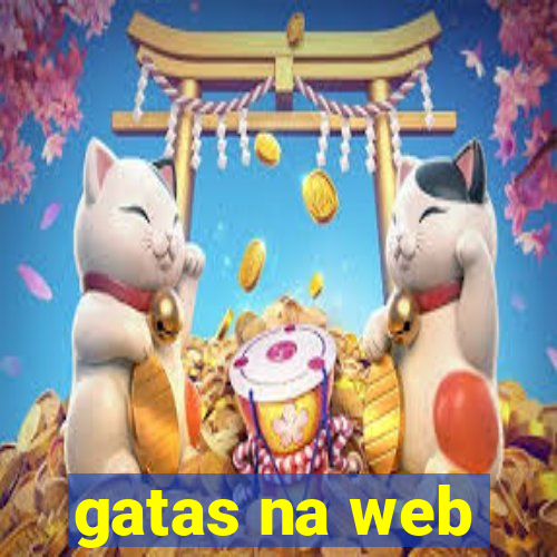 gatas na web