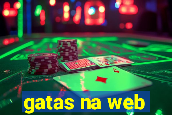 gatas na web