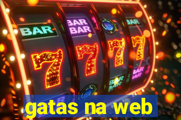 gatas na web