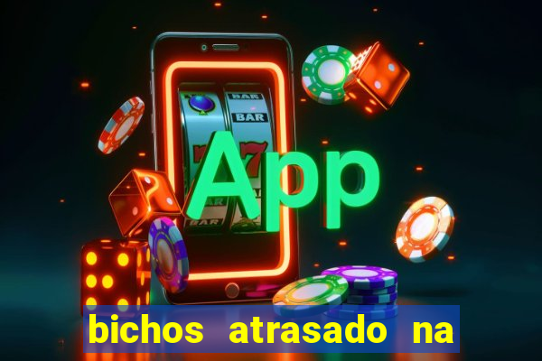 bichos atrasado na loteria dos sonhos