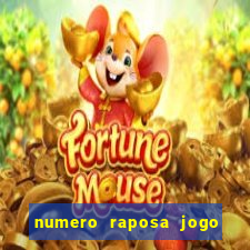 numero raposa jogo do bicho
