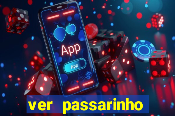 ver passarinho morto significado espiritual