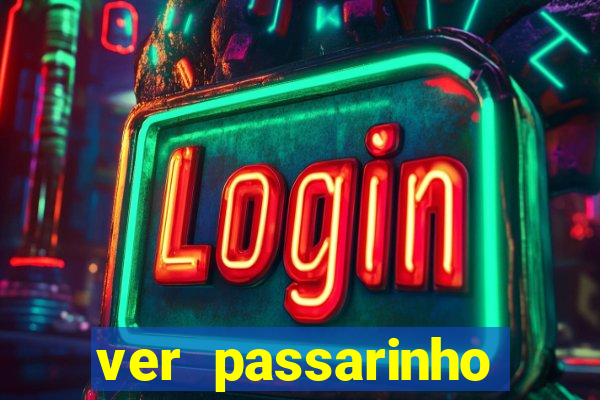 ver passarinho morto significado espiritual