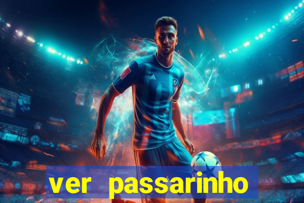 ver passarinho morto significado espiritual
