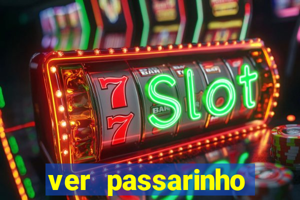 ver passarinho morto significado espiritual