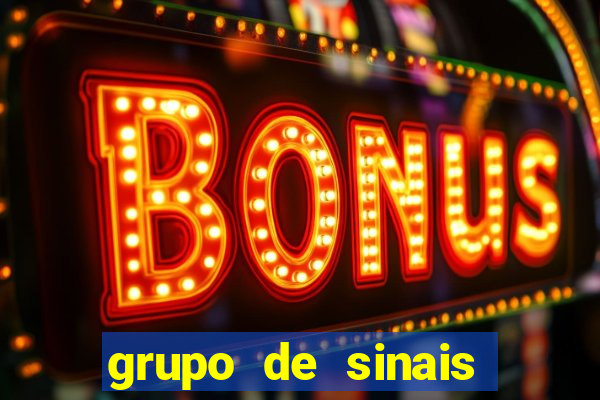 grupo de sinais fortune rabbit